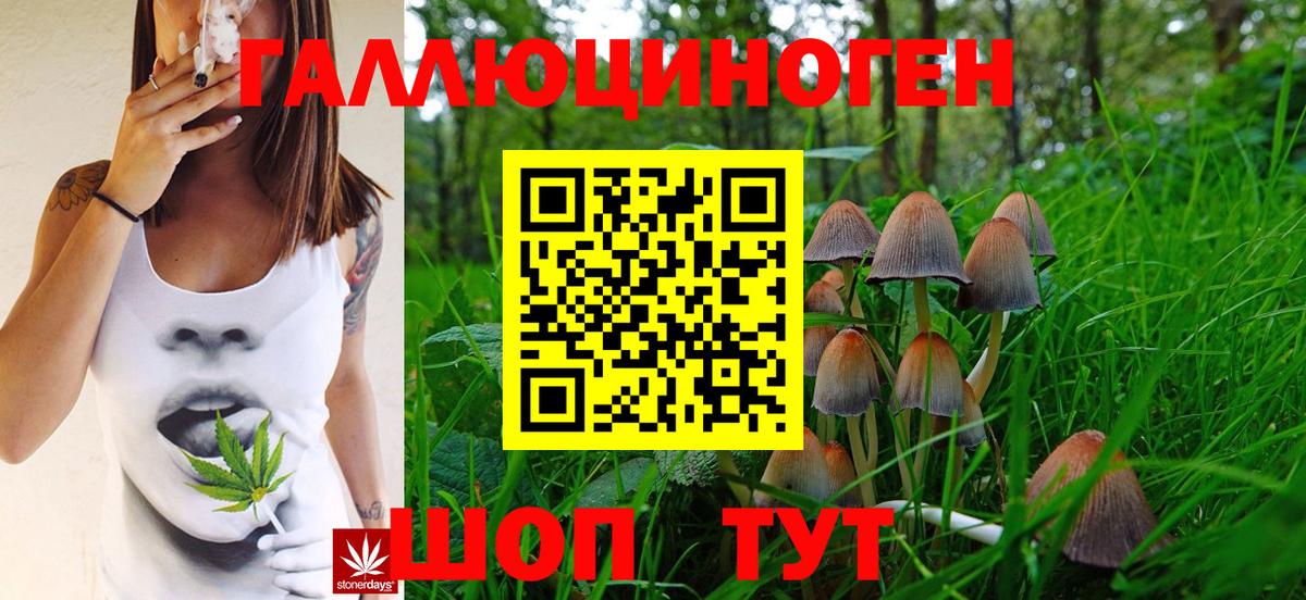 Псилоцибиновые грибы Psilocybe Миллерово